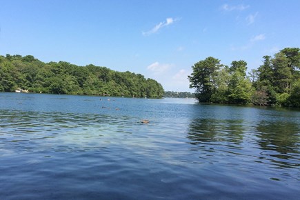 Brewster, Sheeps Pond, Noah's Bluff Cape Cod vacation rental - View of pond in summer