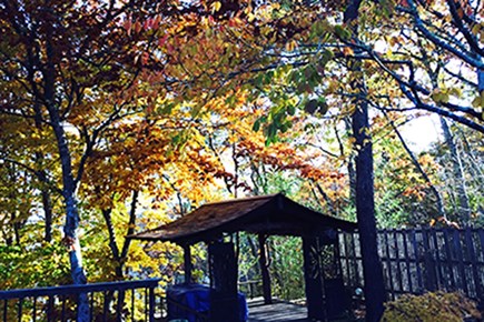 Brewster, Sheeps Pond, Noah's Bluff Cape Cod vacation rental - Fall photo of Teahouse in backyard