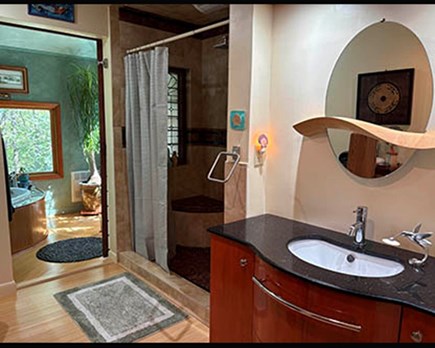 Brewster, Sheeps Pond, Noah's Bluff Cape Cod vacation rental - Bathroom commode step in shower