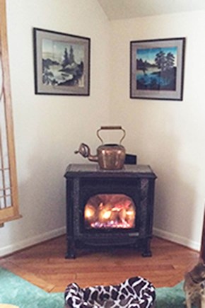 Brewster, Sheeps Pond, Noah's Bluff Cape Cod vacation rental - Gas fireplace in family room