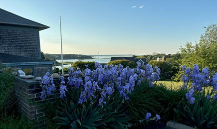 Orleans Cape Cod vacation rental - 