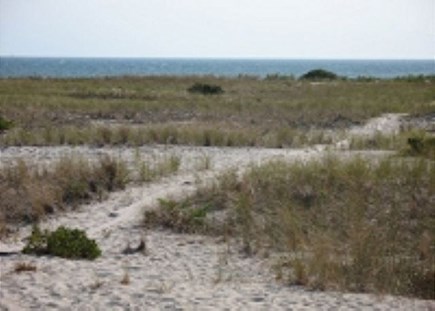 Truro Cape Cod vacation rental - 