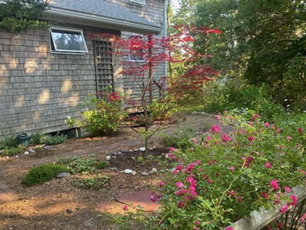Wellfleet Cape Cod vacation rental - 