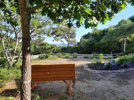 Wellfleet Cape Cod vacation rental - Exterior Landscaping