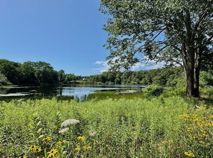 Orleans Cape Cod vacation rental - View