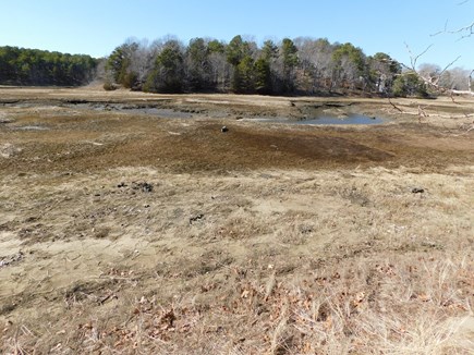 Wellfleet Cape Cod vacation rental - View of marsh