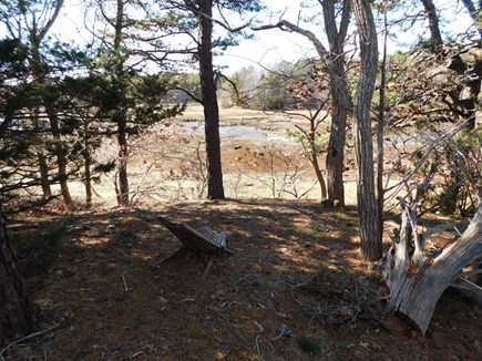 Wellfleet Cape Cod vacation rental - Marsh entrance