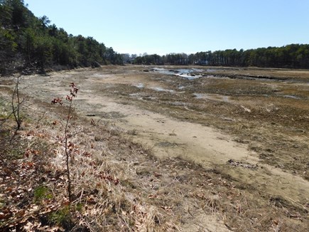 Wellfleet Cape Cod vacation rental - Walk to town