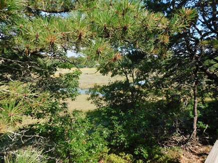 Wellfleet Cape Cod vacation rental - 