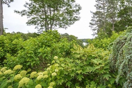 Mashpee Cape Cod vacation rental - 