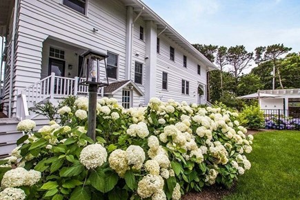 Osterville Cape Cod vacation rental - 