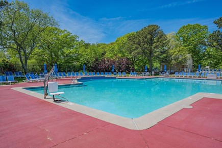 Brewster Cape Cod vacation rental - Arbor Pool