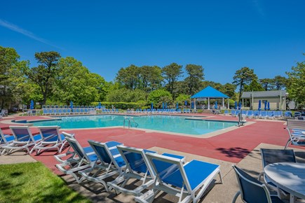 Brewster Cape Cod vacation rental - Arbor Pool