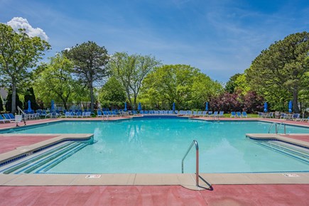 Brewster Cape Cod vacation rental - Arbor Pool