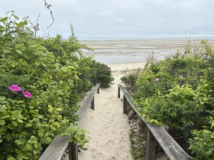 Brewster Cape Cod vacation rental - 