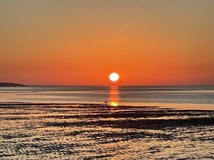 Brewster Cape Cod vacation rental - 