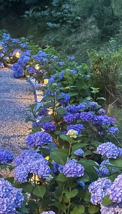 Brewster Cape Cod vacation rental - 