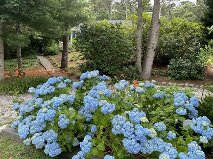 Brewster Cape Cod vacation rental - 