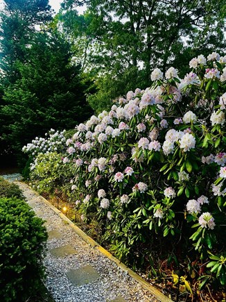 Brewster Cape Cod vacation rental - 