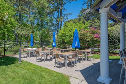 Brewster Cape Cod vacation rental - Shark Bar