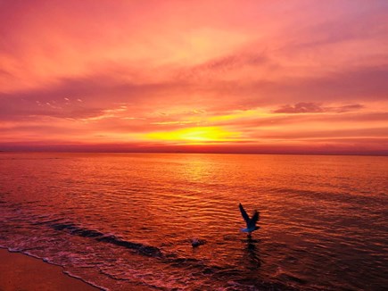 South Yarmouth Cape Cod vacation rental - Breathtaking sunrises!