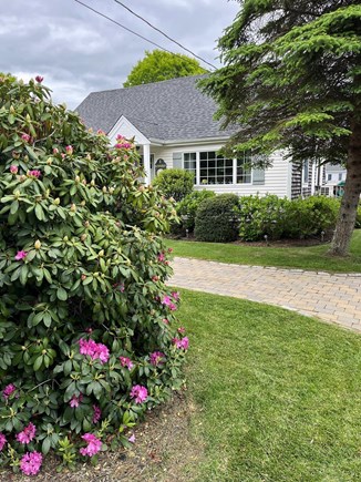Falmouth Cape Cod vacation rental - Front yard