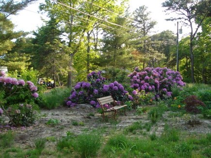 Eastham, Thumpertown - 3804 Cape Cod vacation rental - Yard