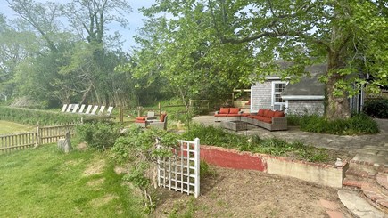 Truro, South Pamet Cape Cod vacation rental - Back Patio under historic London Pane tree