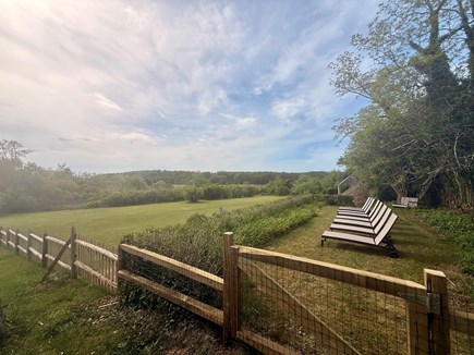 Truro, South Pamet Cape Cod vacation rental - Back yard, large fenced in area including guest cottage