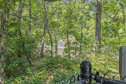 Chatham Cape Cod vacation rental - Walk to the bike trail