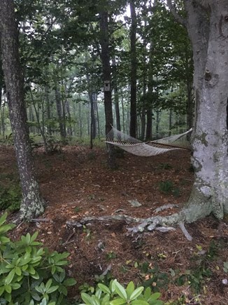 Brewster Cape Cod vacation rental - The world's most peaceful hammock!