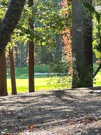 New Seabury Cape Cod vacation rental - View of golf course from condo