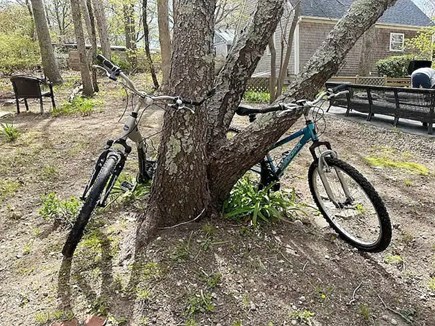 Falmouth Cape Cod vacation rental - Bikes