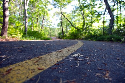 Dennis Port Cape Cod vacation rental - 