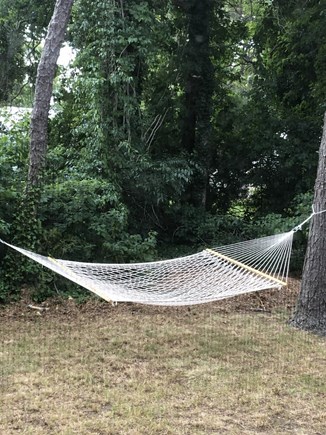 West Hyannisport Cape Cod vacation rental - Hammock for Lazy Afternoons