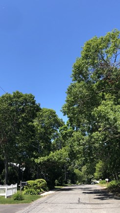 West Hyannisport Cape Cod vacation rental - View standing in front of house. 5 houses on road.