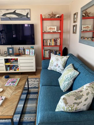 North Truro Cape Cod vacation rental - Living room w/comfortable queen sofa bed, books, games, puzzles.