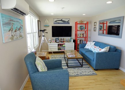 North Truro Cape Cod vacation rental - Living room w/comfortable queen sofa bed, books, games, puzzles.