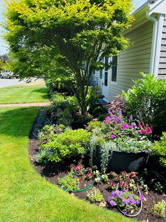 Chatham Cape Cod vacation rental - Outside Gardens