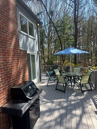 Mashpee - Popponesset  Cape Cod vacation rental - Grill