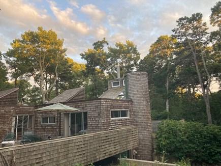 Orleans, Swaying Pines Cape Cod vacation rental - Private three acre Cape Cod retreat in Orleans