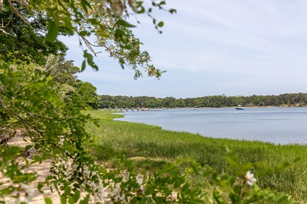Orleans, Swaying Pines Cape Cod vacation rental - 