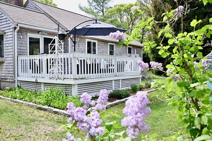 Brewster Cape Cod vacation rental - 
