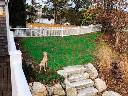 Chatham Cape Cod vacation rental - Fido can have some freedom in the completely fenced yard!