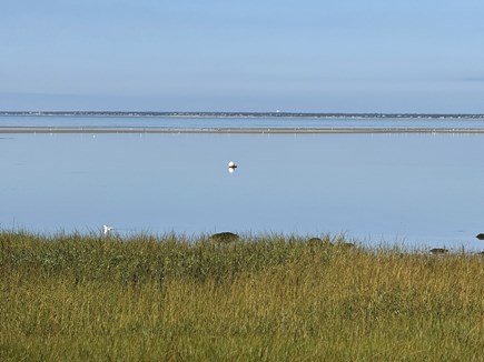 Brewster Cape Cod vacation rental - 