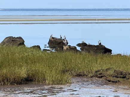 Brewster Cape Cod vacation rental - 