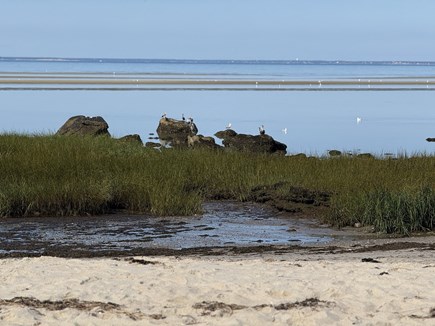 Brewster Cape Cod vacation rental - 