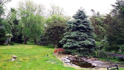 Brewster Cape Cod vacation rental - The Back Yard