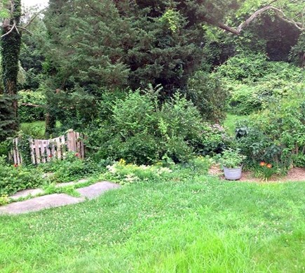 Brewster Cape Cod vacation rental - The Meadow