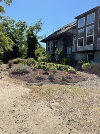 Brewster Cape Cod vacation rental - The owner likes to garden and it shows.